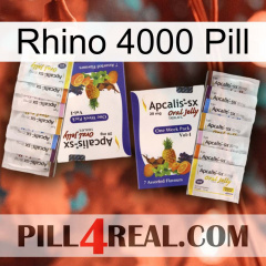 Rhino 4000 Pill 12